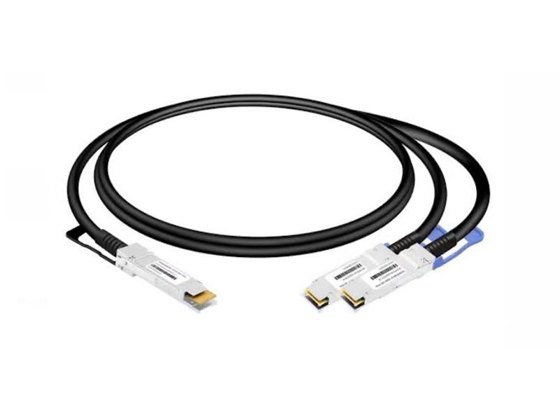 241118 DAC QSFP56 200G PARA 2X100G QSFP56